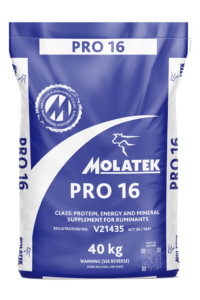 Molatek Pro 16